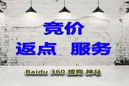 行业领先的SEM投放效果案例解析
